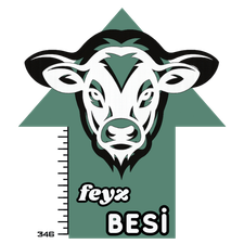 BESI